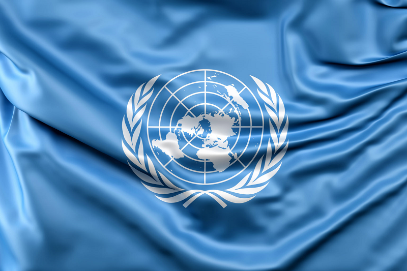 Sposób i zasady funkcjonowania rynku zamówień w ramach ONZ