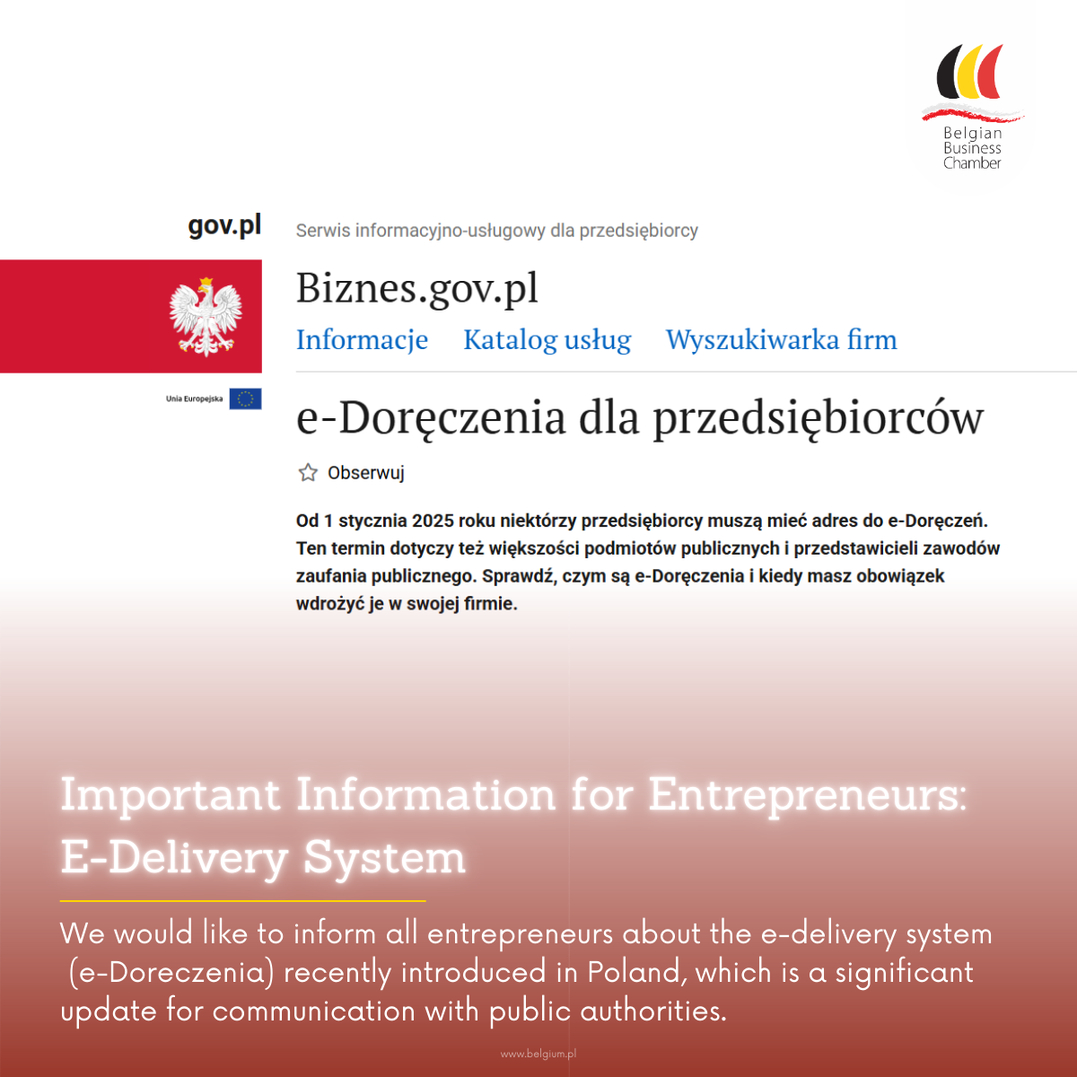 Important Information for Entrepreneurs: E-Delivery System