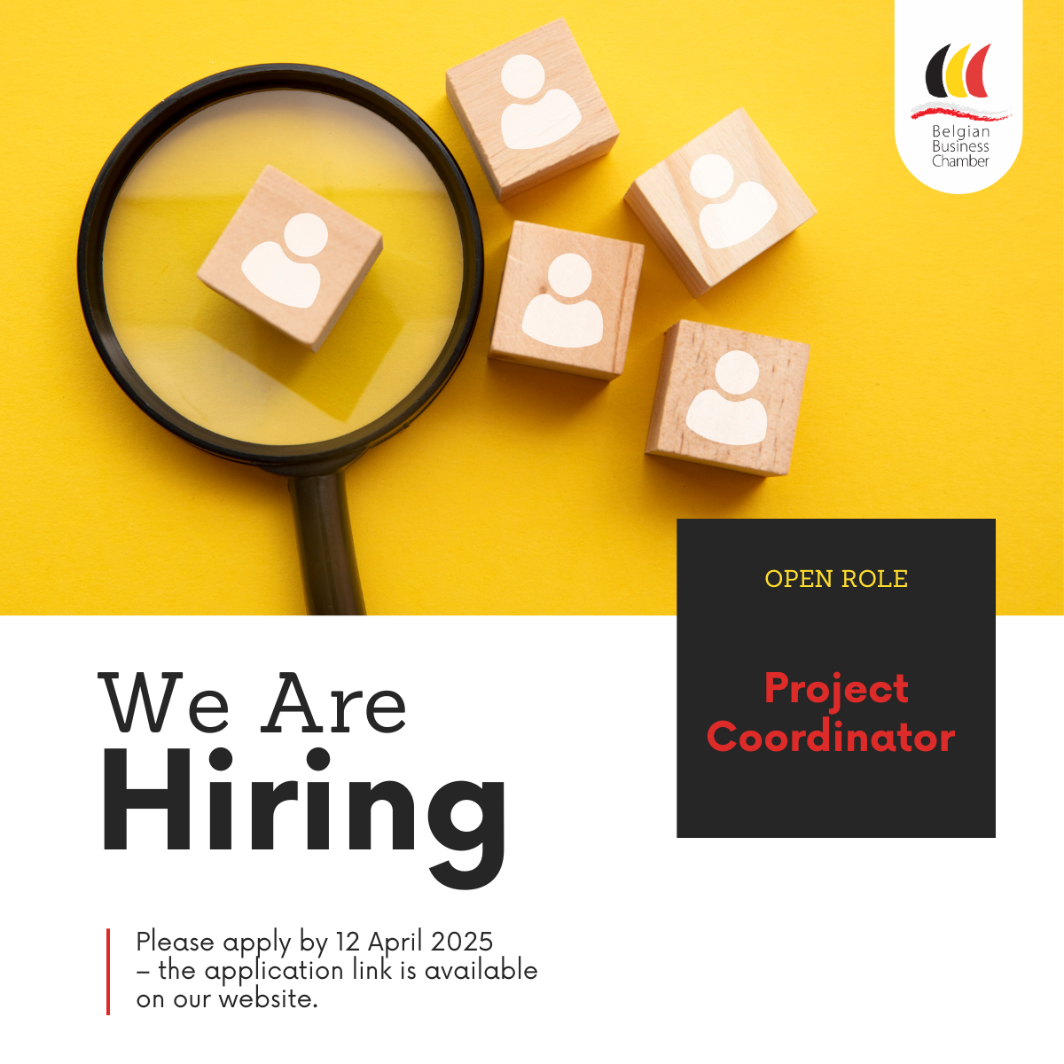 Join the Team of the Belgian Business Chamber!