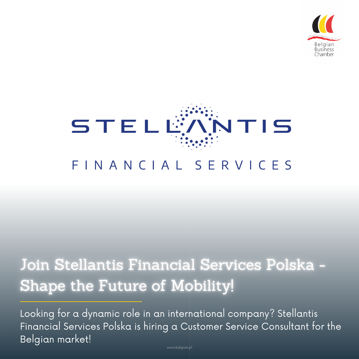 Job Opportunity: Customer Service Consultant (Belgian Market) | Stellantis Financial Services Polska