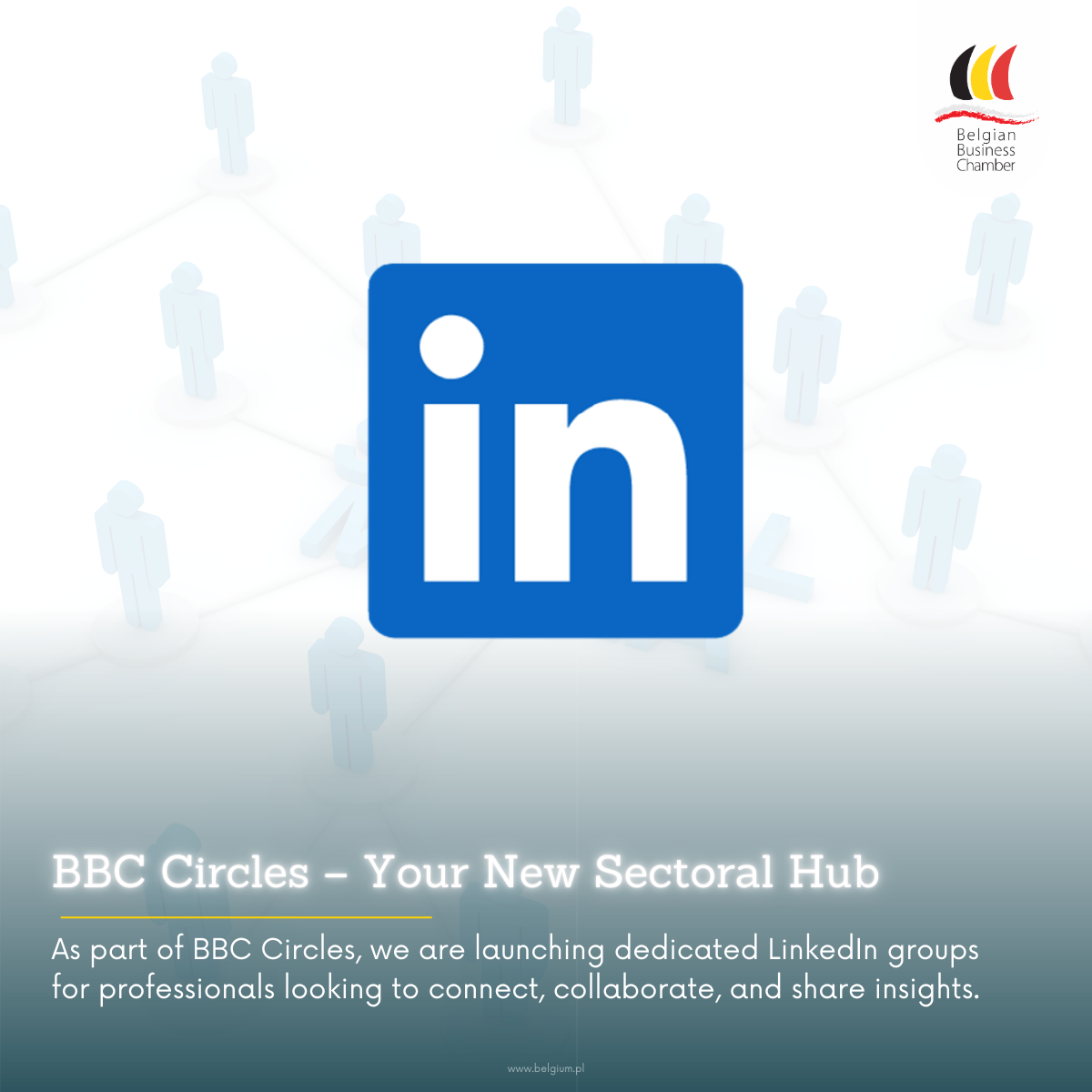 BBC Circles – Join LinkedIn Groups!