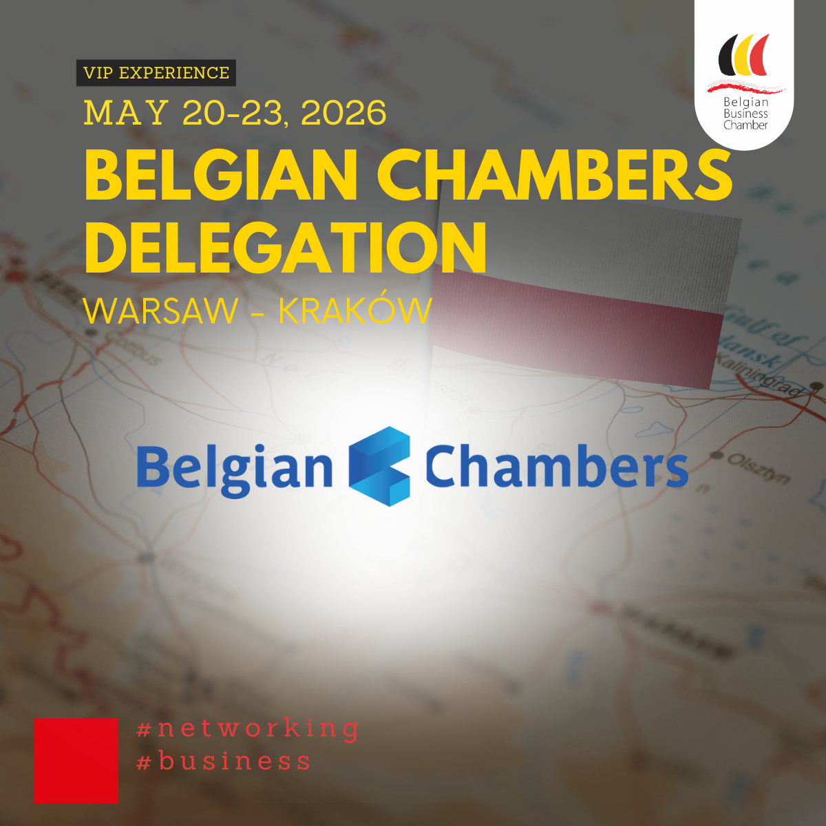 Belgian Chambers Delegation | VIP EXPERIENCE