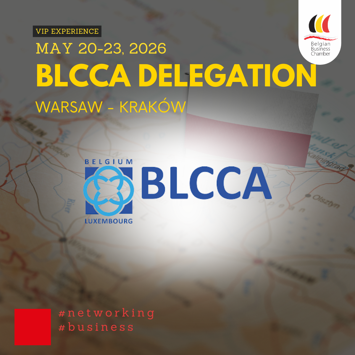 Belgian Chambers Delegation | VIP EXPERIENCE