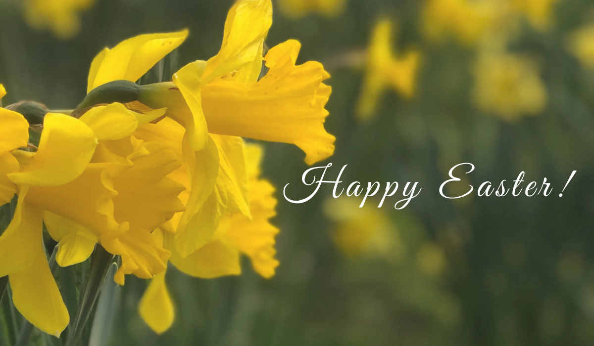 Happy Easter from the BBC!