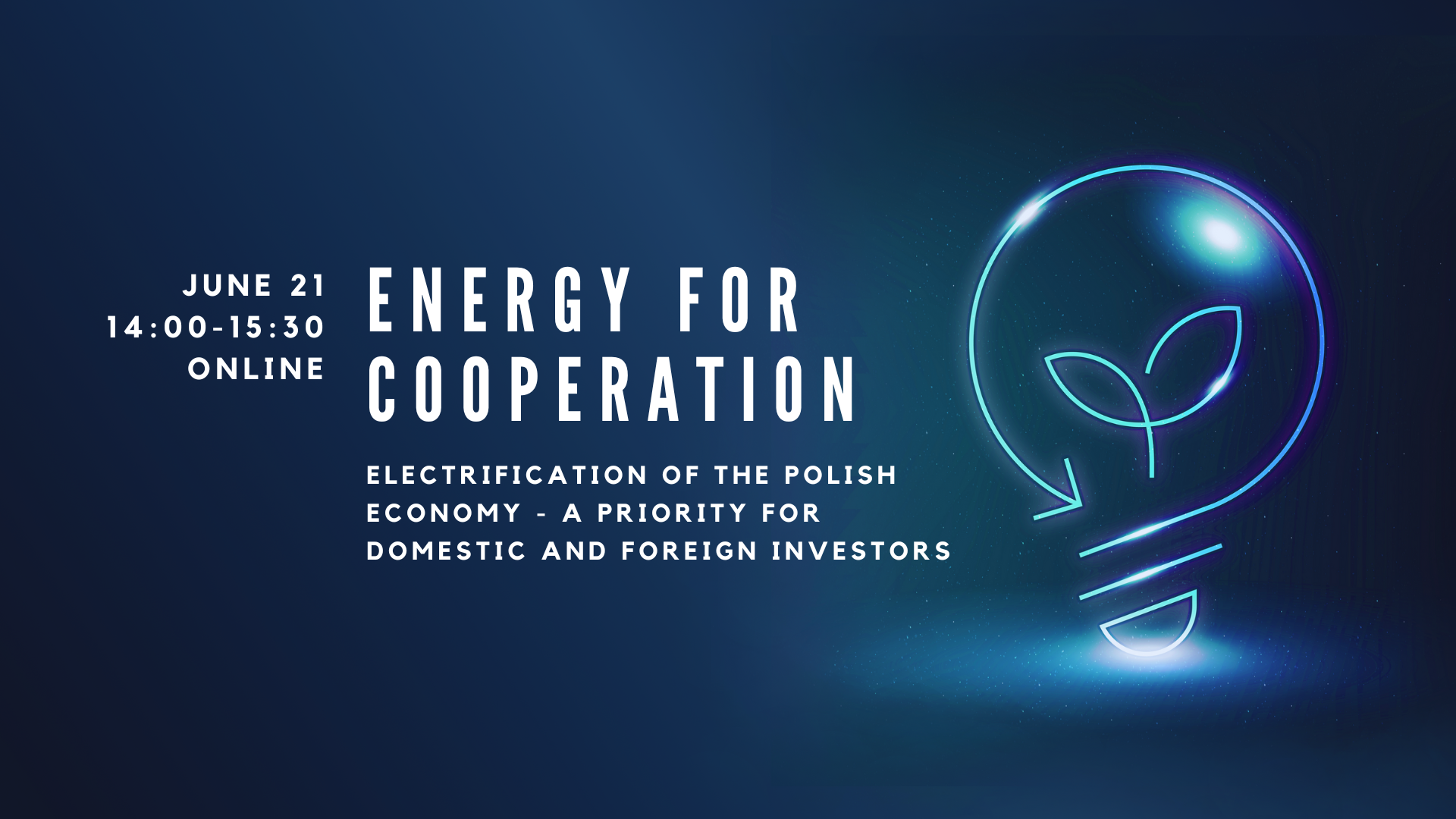 ENERGY FOR COOPERATION. GREEN ELECTRIFICATION OF THE POLISH ECONOMY - A PRIORITY FOR POLISH AND FOREIGN INVESTORS